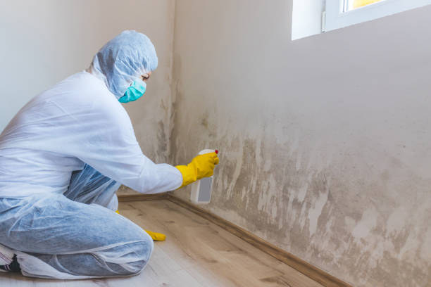 Licensed Mold Testing service in Round Rock, TX - WQB Mold Removal