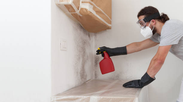 Professional Mold Testing technician working in Round Rock, TX