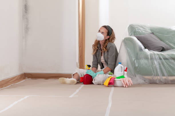 Reliable Mold Testing contractor in Round Rock, TX by WQB Mold Removal